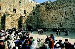 The Western Wall